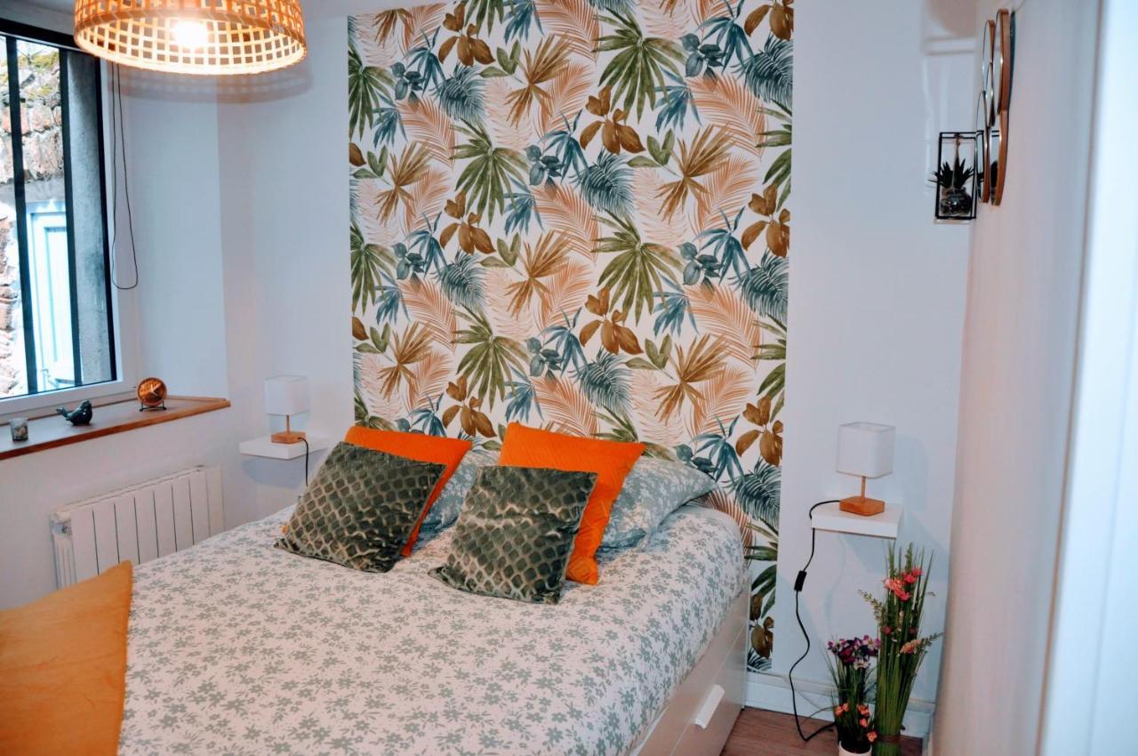Dormir A Brioude - Appartement 'Esprit Nature' Exteriör bild